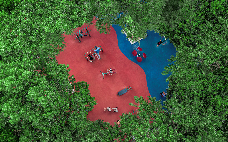 《活力三原色》+作品拍摄于泰州市泰山公园+郑文才+18961089566.jpg